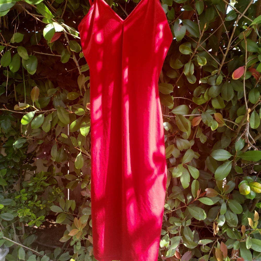 Red Aria suede dress
